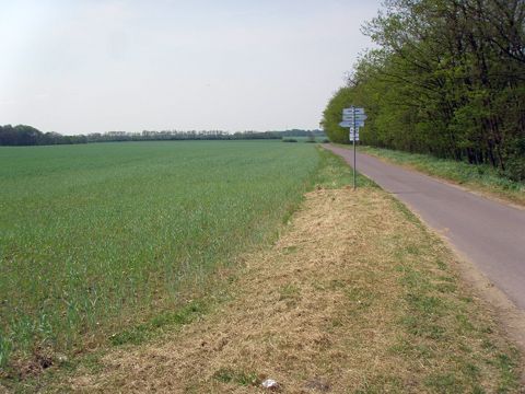 Foto 37